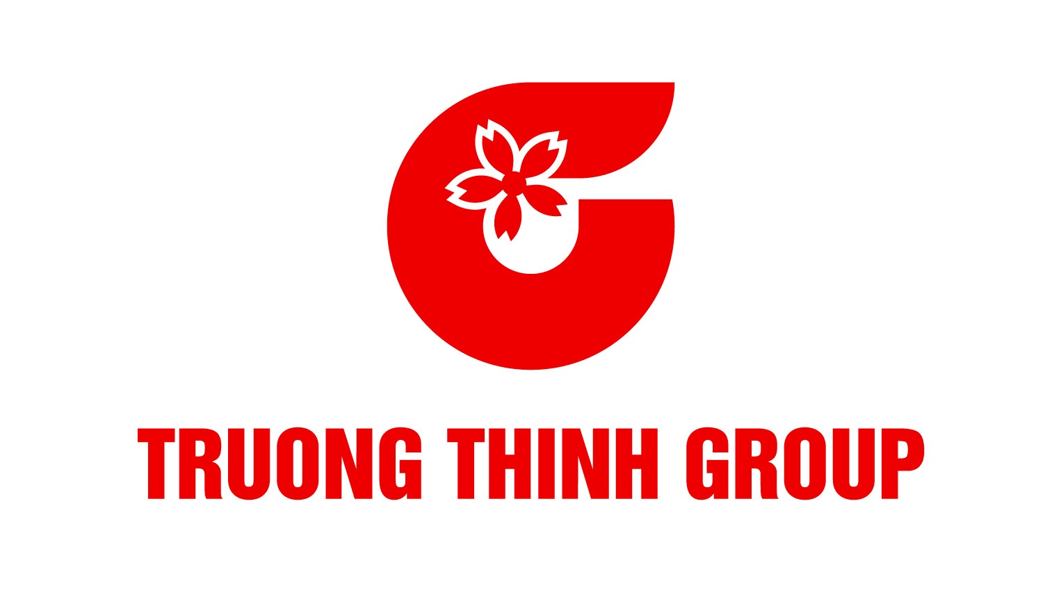 Trường Thịnh Group